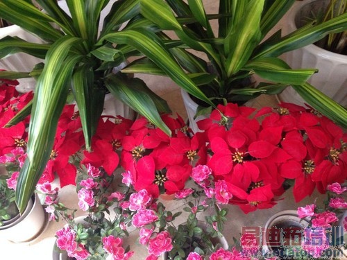 ��ҫ3C��սiPhone5C��˫C�Աȴ����⣨ͼ�ģ�