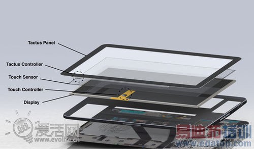 Tactus�з�΢������� �ô�����������������