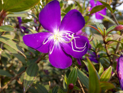 �������������ư˺˴������������ֻ�����Ա�