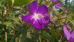 �������������ư˺˴������������ֻ�����Ա�