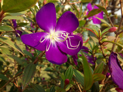 �������������ư˺˴������������ֻ�����Ա�