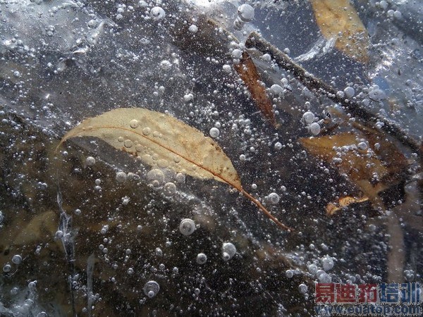 ��Ϊ��ҫ3X�������鱨�棨ͼ��