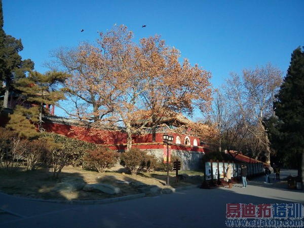 ��Ϊ��ҫ3X�������鱨�棨ͼ��