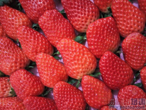 ��Ϊ��ҫ3X�������鱨�棨ͼ��