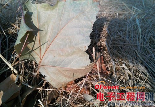 ��Ϊ��âB199�������⣺�ܷ���С��һս��ͼ�ģ�