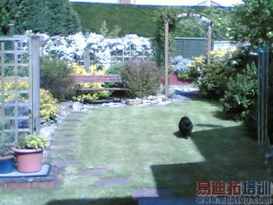 ŵ���������ֻ�11�����ʷ���������Ἰ���ᣨͼ�ģ�