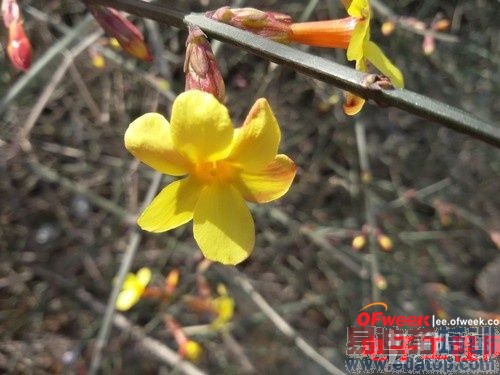 跑不过HTC Desire816?高通四核三星GALAXY GRAND 2深度测评