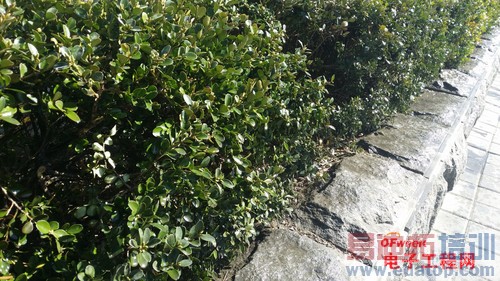 对比测评:华为荣耀X1 VS三星Note3 当