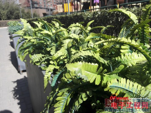 �ԱȲ�������Ϊ��ҫX1 VS����Note3 ��