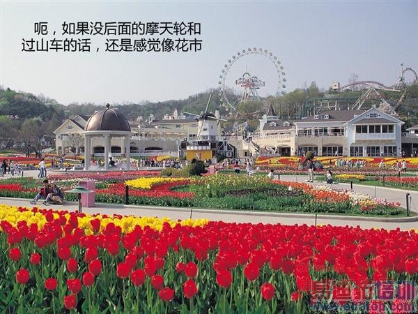 ���ǹ��͹������ж��