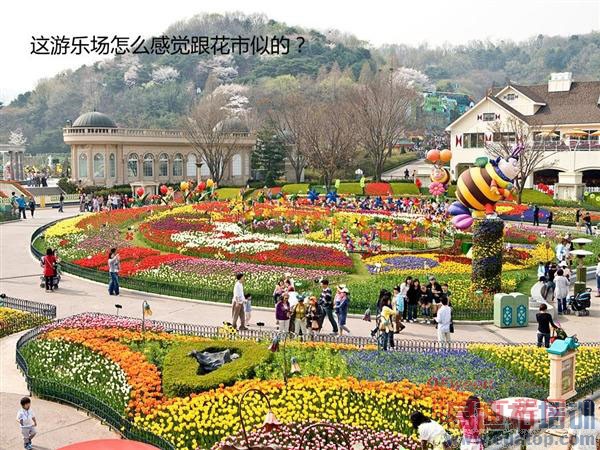 ���ǹ��͹������ж��