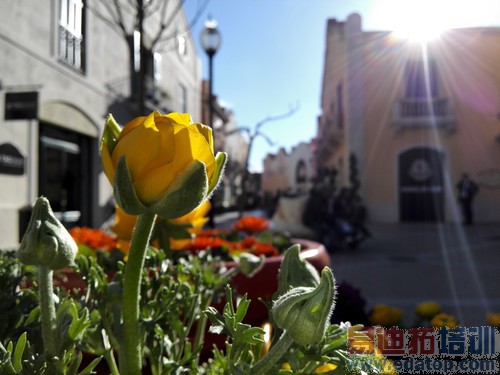 ֵ��ֵ���򣿻�Ϊ��ҫX1�ռ����⣺ƽ���ֻ��޽��ޣ�ͼ�ģ�