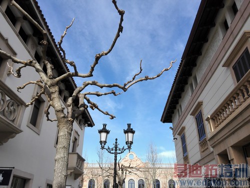 ֵ��ֵ���򣿻�Ϊ��ҫX1�ռ����⣺ƽ���ֻ��޽��ޣ�ͼ�ģ�