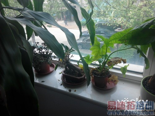 ��˶ZenFone5 ���׶Ա����⣺ʤ�����ϣ���ͼ��