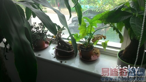 ��˶ZenFone5 ���׶Ա����⣺ʤ�����ϣ���ͼ��