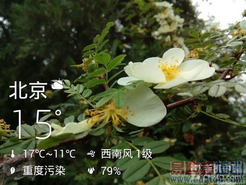 778ԪTCLôô����ϸ���⣨��ͼ��