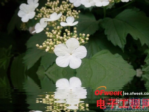 ����Note/��Ϊ��ҫ3X�������У�799Ԫ����S8��������