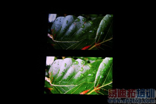 �Ա����⣺ǧԪ��������2Զʤ����Grand����ͼ�ģ�