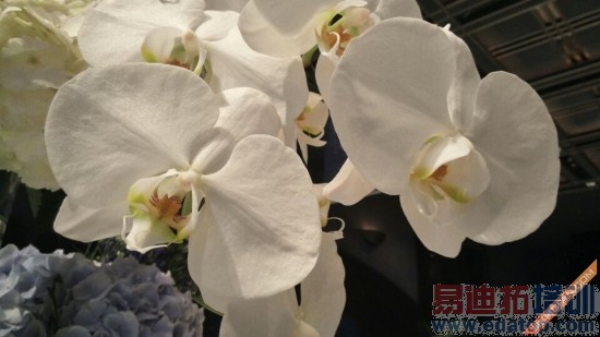 1399Ԫ��������һ���������⣨��ͼ��