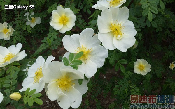 ����Galaxy S5�ռ����� �����ض���ͼ�ģ�