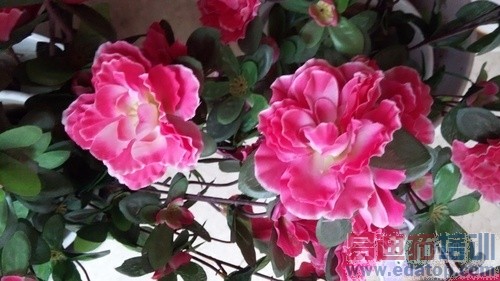 ����V5�»��������� ��ţ����ʤ�����ף���ͼ��