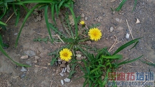 ����V5�»��������� ��ţ����ʤ�����ף���ͼ��