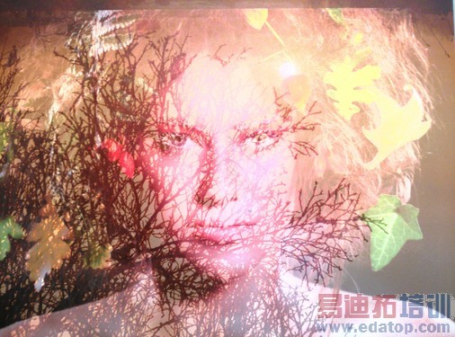 ���Ǻ���Note/��ҫ3Xɱ�֣����˺�ţV5���⣨ͼ��