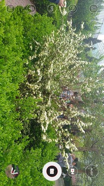 ���Ǻ���Note/��ҫ3Xɱ�֣����˺�ţV5���⣨ͼ��