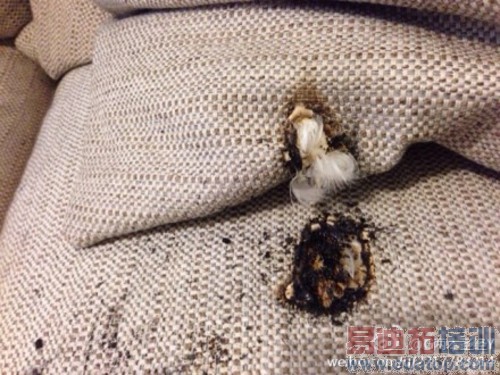 С���ƶ���Դ��ը�����ɵ����