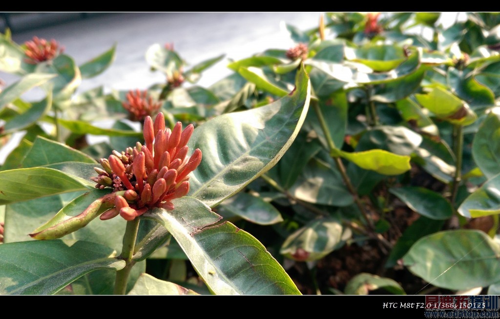 HTC One��M8������ ��������ʸ���������⣨ͼ��