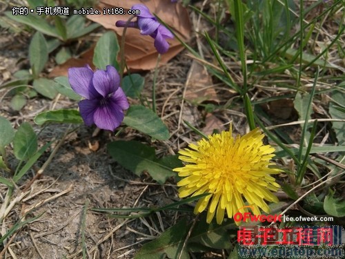 �ԱȲ�������Ϊ��ҫ3x�����VS����Note ��ǿǧԪ��֮ս