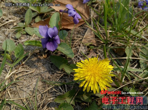 �ԱȲ�������Ϊ��ҫ3x�����VS����Note ��ǿǧԪ��֮ս