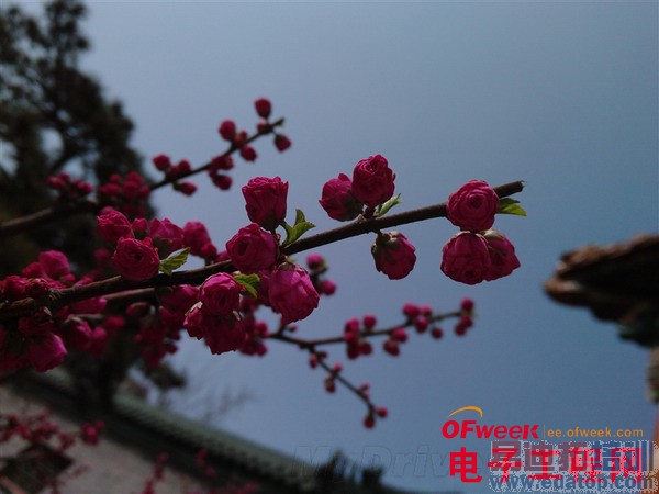 1799ԪIUNI U2�ֻ����⣨��ͼ��