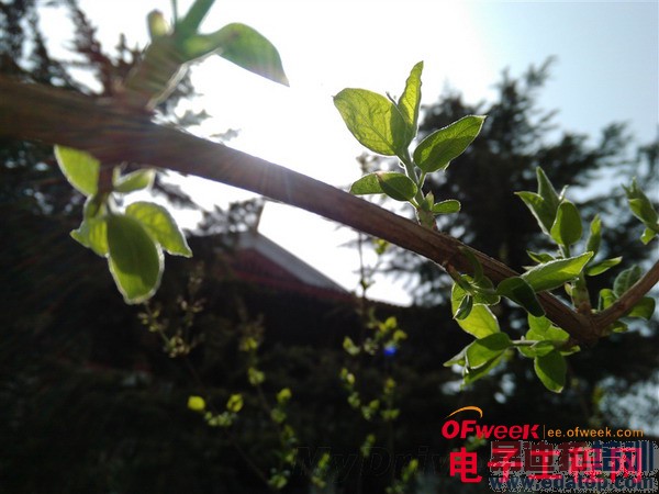 1799ԪIUNI U2�ֻ����⣨��ͼ��