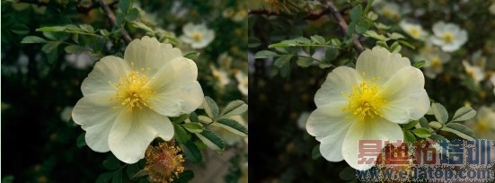 GALAXY S5�Ա�HTC One M8 ����������ܣ�ͼ��