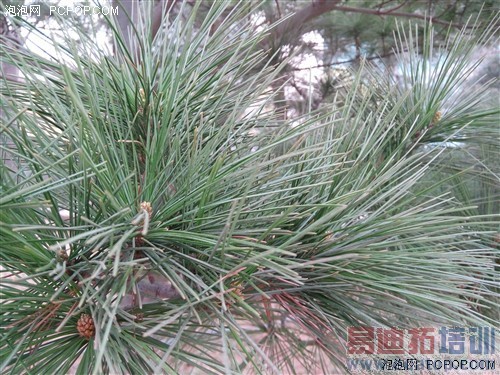 �Ա����⣺����Noteս����F1��˭��ֵ����ͼ��