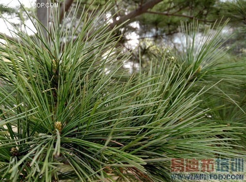 �Ա����⣺����Noteս����F1��˭��ֵ����ͼ��