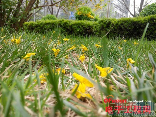 �ԱȲ���������PK����Note С��