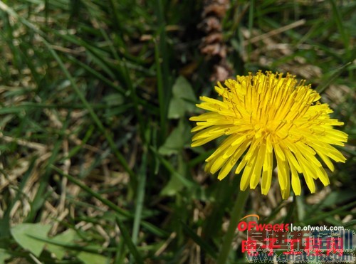 �ԱȲ���������PK����Note С��