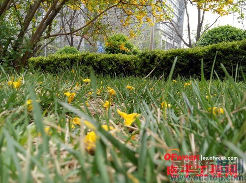 �ԱȲ���������PK����Note С��