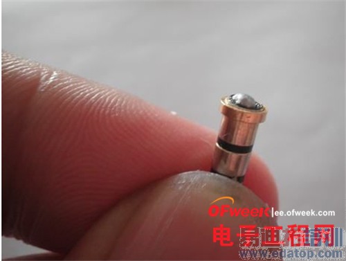 ����ţ�������׾� ����