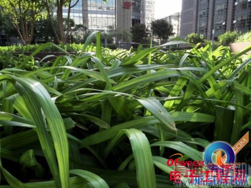 ��������1�ŶԱȻ�ΪP7���⣨��ͼ��