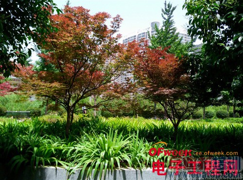 nubia X6�Ա�Z5Sȫ���ռ����⣨��ͼ��