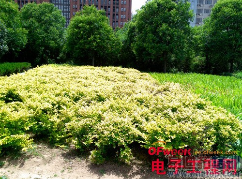 nubia X6�Ա�Z5Sȫ���ռ����⣨��ͼ��