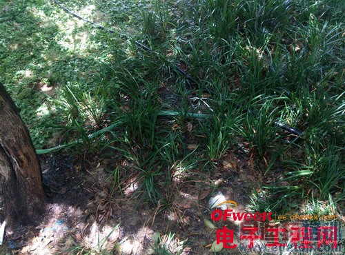 nubia X6�Ա�Z5Sȫ���ռ����⣨��ͼ��