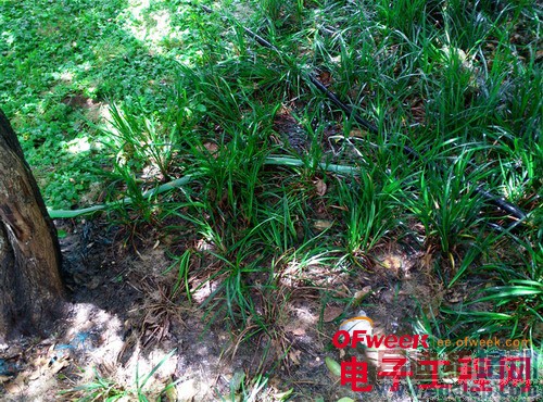 nubia X6�Ա�Z5Sȫ���ռ����⣨��ͼ��