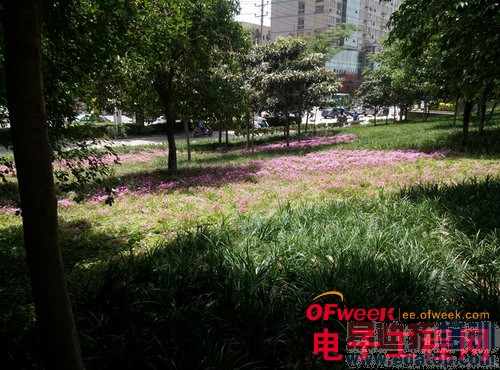 nubia X6�Ա�Z5Sȫ���ռ����⣨��ͼ��