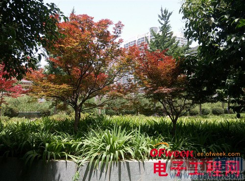 nubia X6�Ա�Z5Sȫ���ռ����⣨��ͼ��