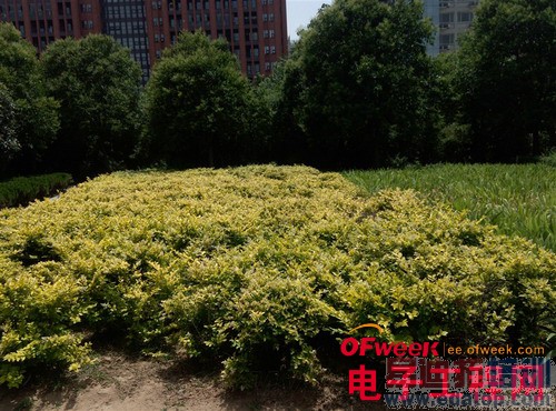 nubia X6�Ա�Z5Sȫ���ռ����⣨��ͼ��