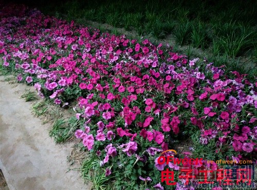 nubia X6�Ա�Z5Sȫ���ռ����⣨��ͼ��